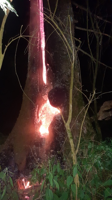 20230608_223312 groß.jpg